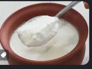 Plain Yogurt