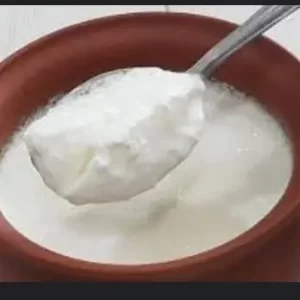 Plain Yogurt